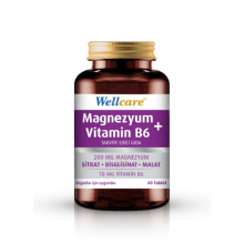 Wellcare Magnezyum + Vitamin B₆