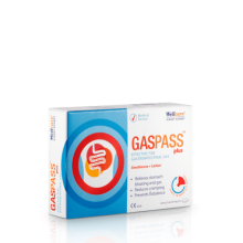 Wellcare Gaspass Plus