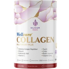Wellcare Collagen Multiboost Plus Toz 345 gr